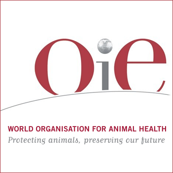 OIE: i laboratori veterinari a supporto della sanità pubblica nell’emergenza Covid-19