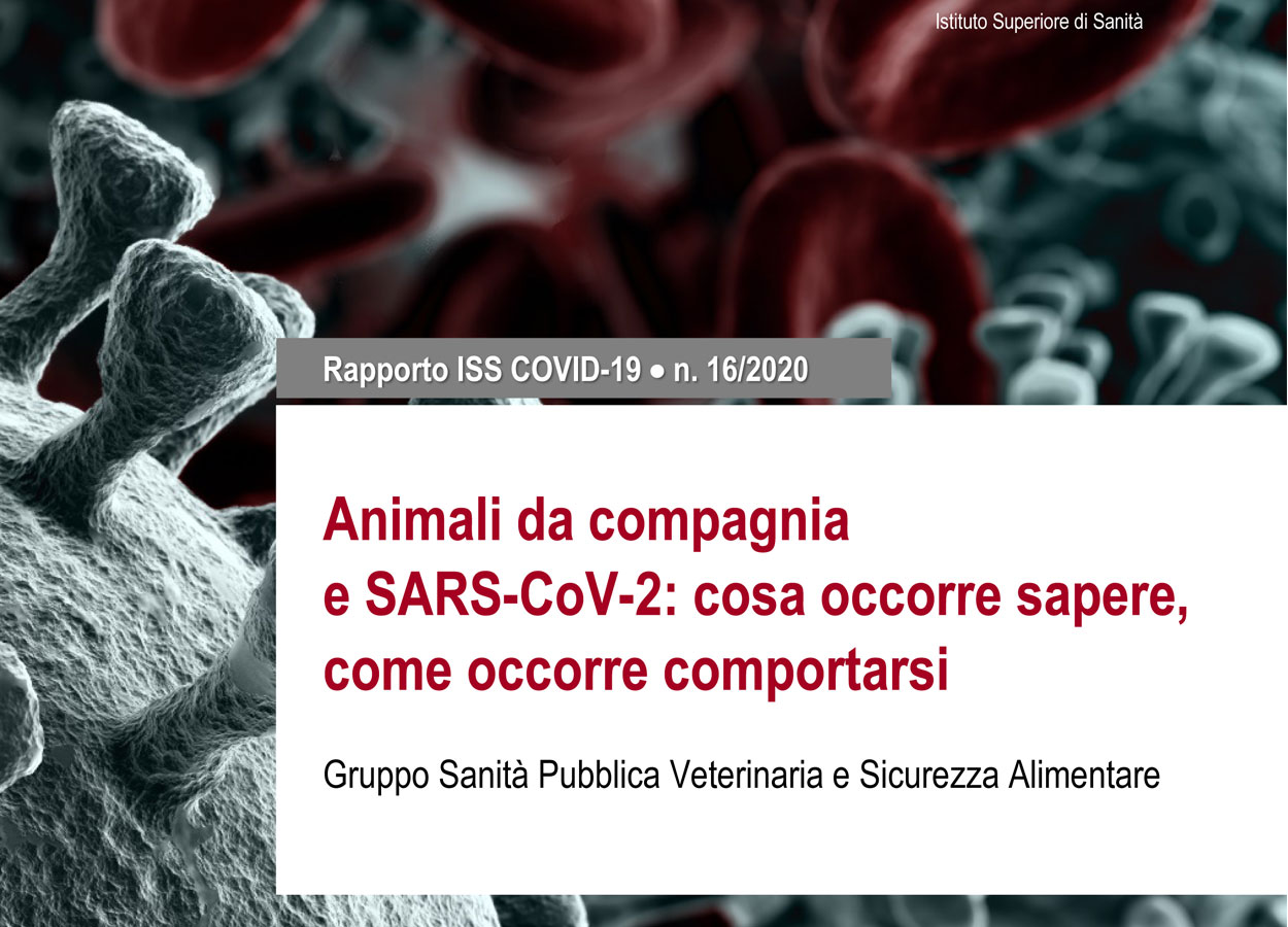 ISS: SARS-CoV-2 e animali da compagnia: cosa sapere e come comportarsi