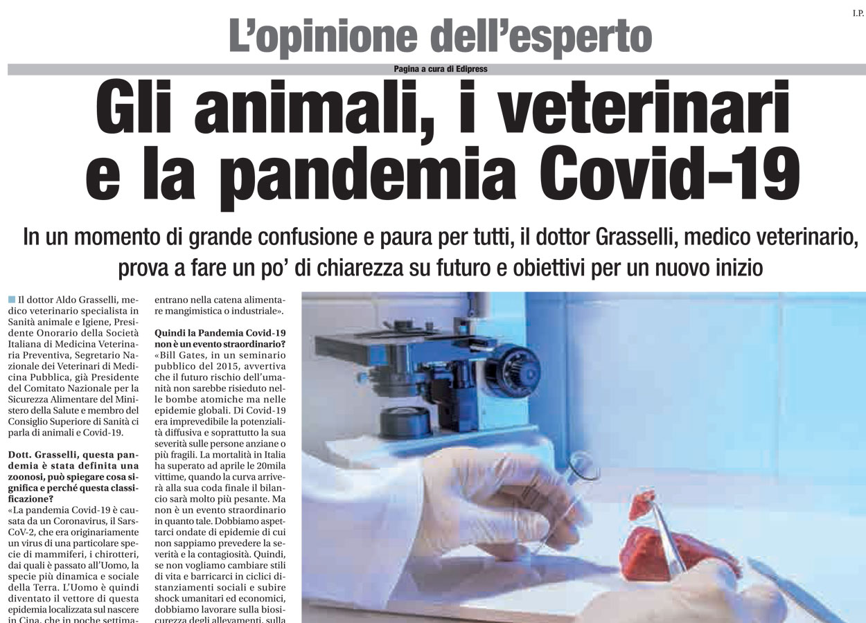 Gli animali, i veterinari e la pandemia Covid-19