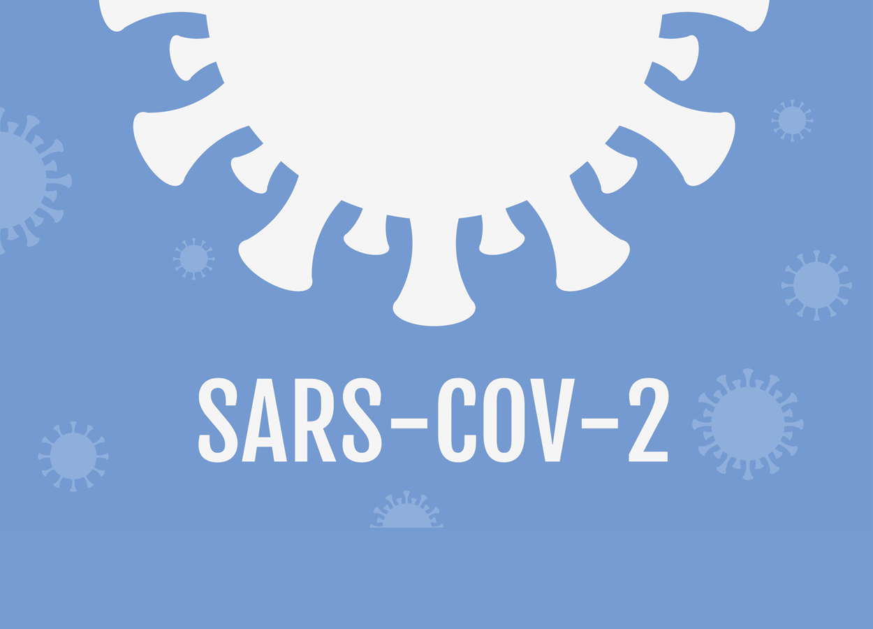 Parere CNSA – Virus SARS-COV-2 e alimenti