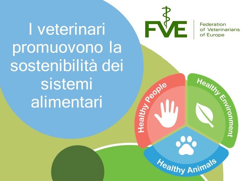 FVE: ONE HEALTH ruolo dei veterinari e sostenibilità della produzione alimentare
