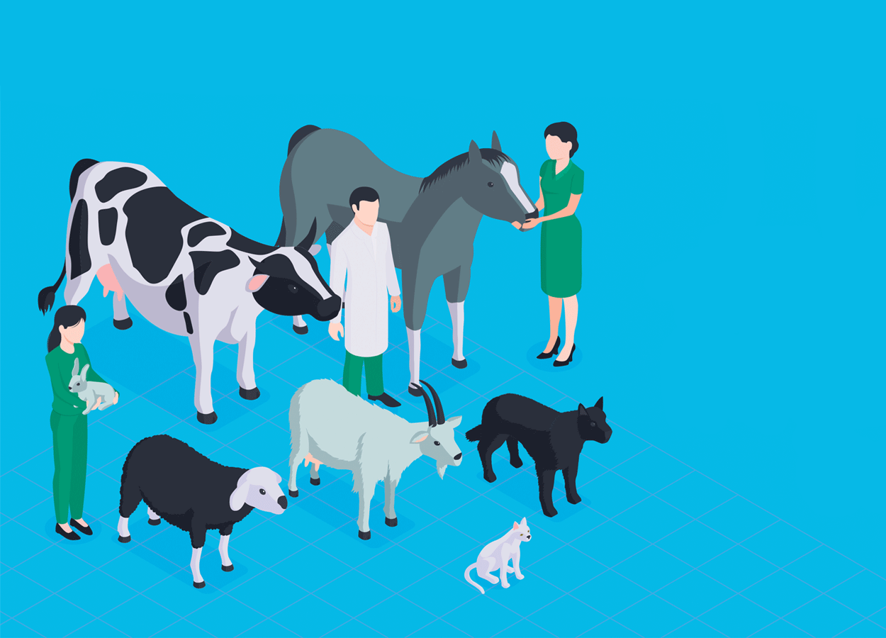 Dati di vendita dei medicinali veterinari contenenti sostanze antibiotiche. Risultati del progetto ESVAC