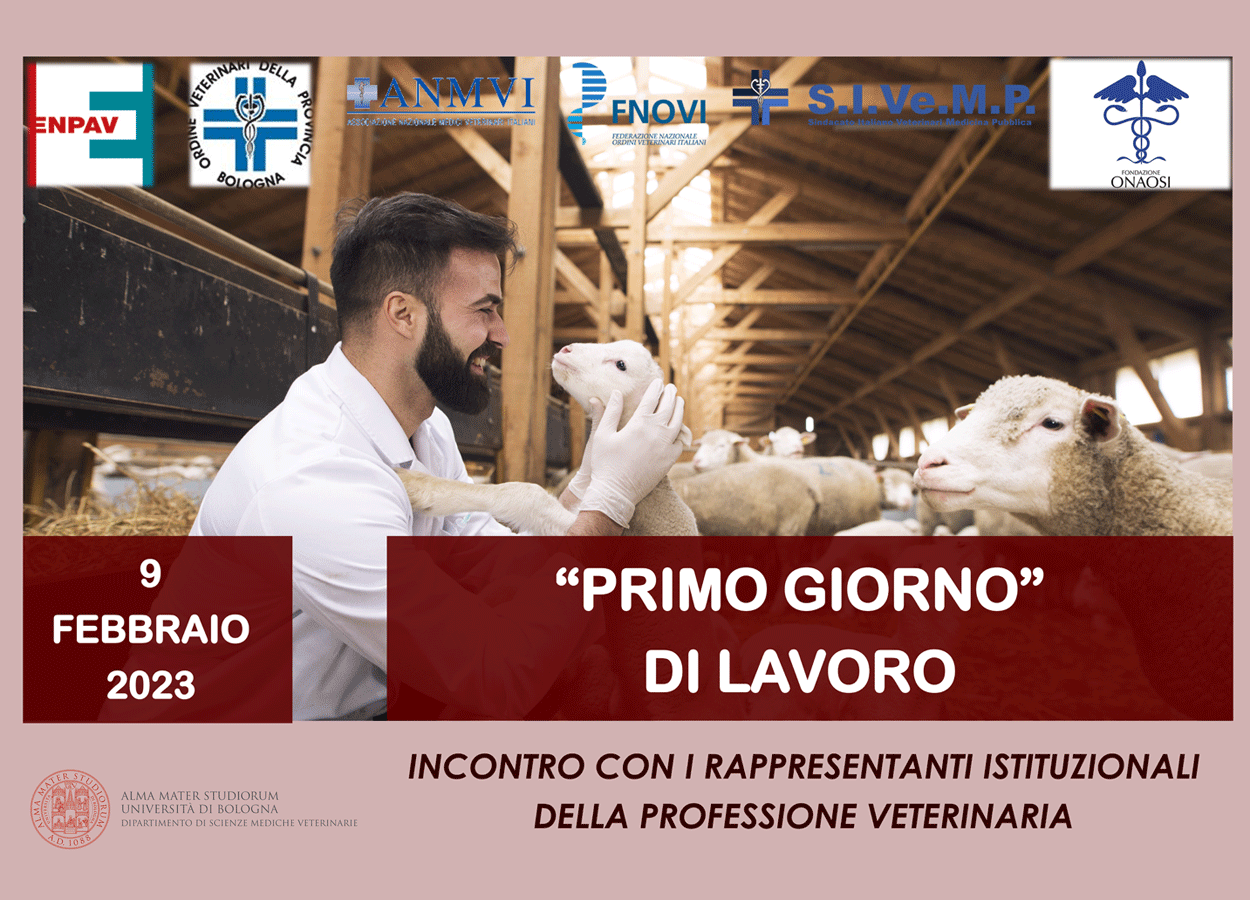 ‘Primo giorno di lavoro’, gli studenti di veterinaria di Bologna incontrano i rappresentanti della professione