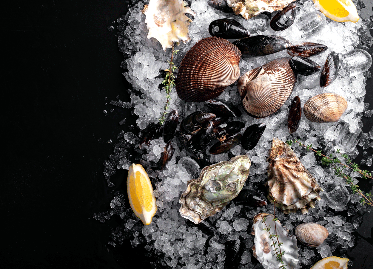 Batteri del genere Vibrio nei frutti di mare: aumentano i rischi a causa dei cambiamenti climatici e della resistenza agli antimicrobici