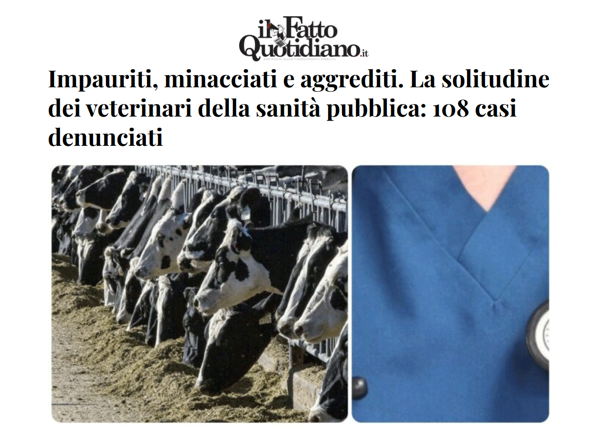 Impauriti, minacciati e aggrediti. La solitudine dei veterinari della sanità pubblica: 108 casi denunciati