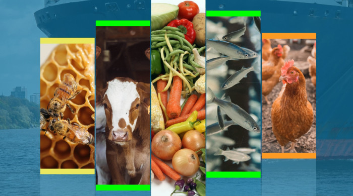 Report sulle attività 2024 di PCF e UVAC