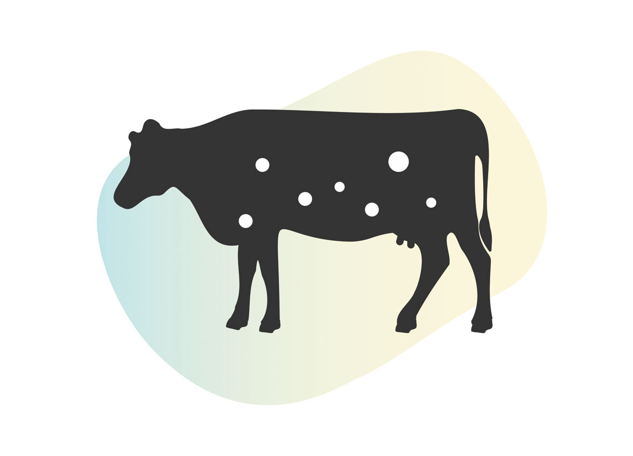 Lumpy Skin Disease, Ue revoca le restrizioni in Sardegna