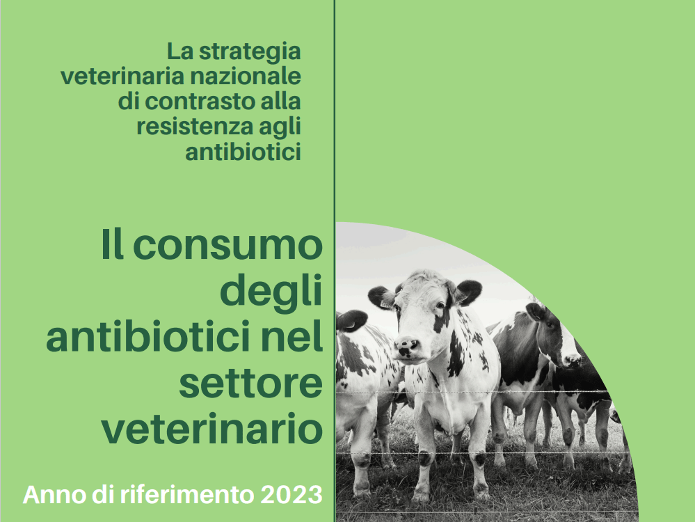 Rapporto 2023 su vendite e uso di antimicrobici negli animali