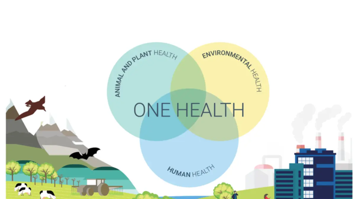 One Health day: azione immediata per fronteggiare i rischi legati a clima e zoonosi