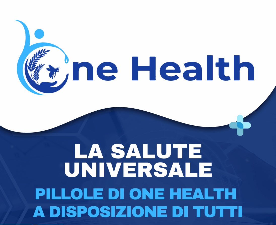 La Salute Universale: a Bari One Health in Azione