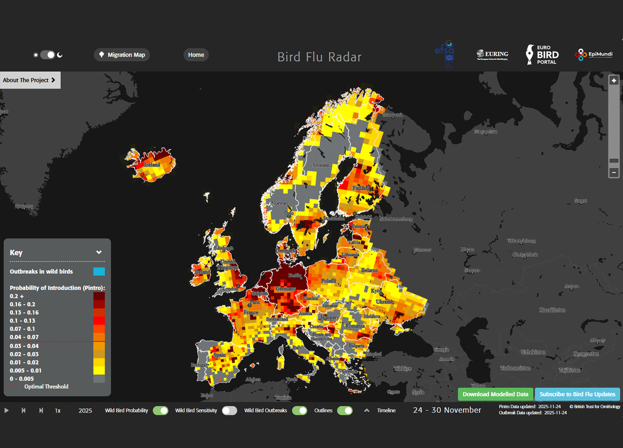 Impennata aviaria in Europa. Efsa: imperativo rafforzare sorveglianza e biosicurezza