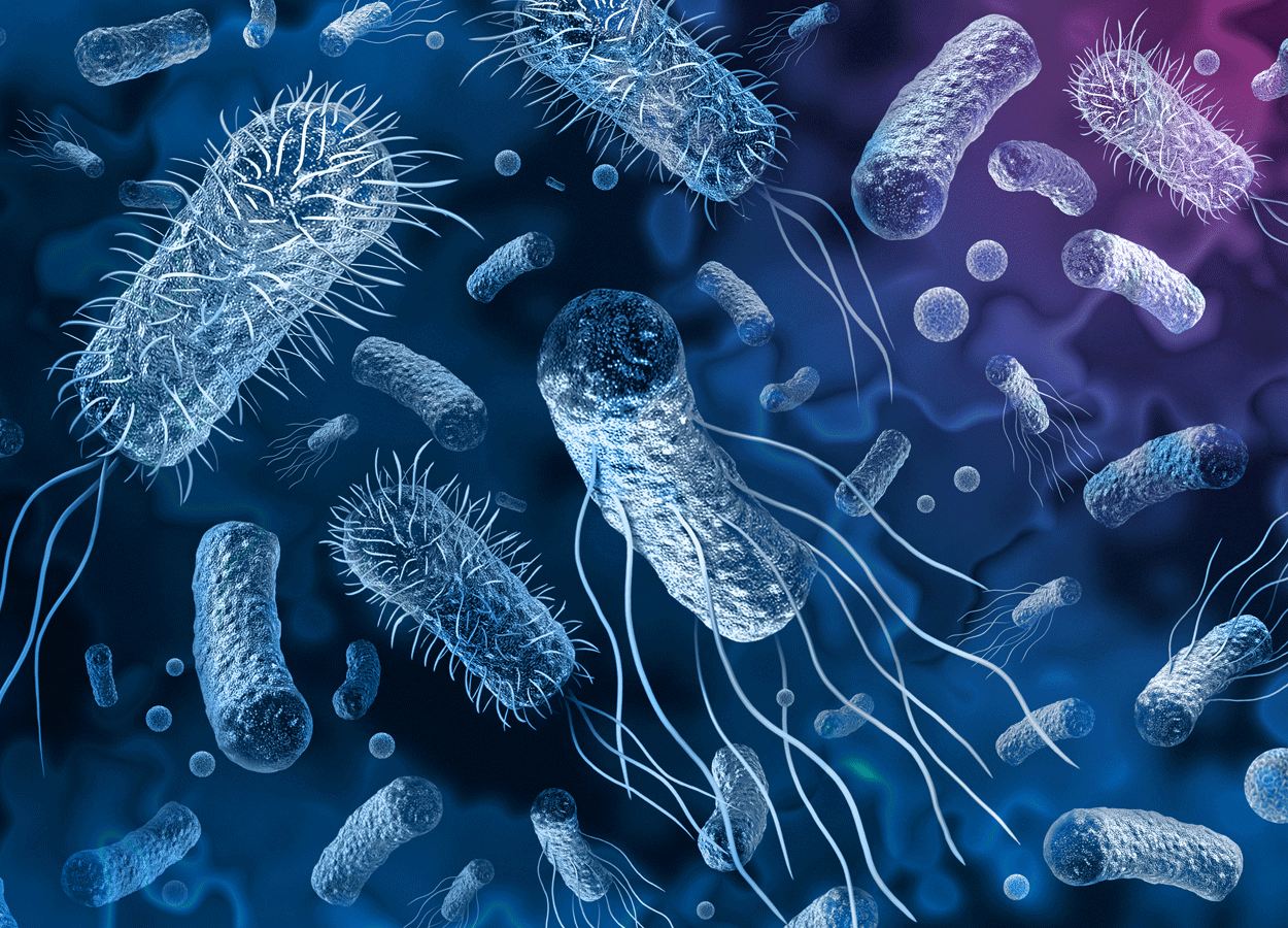 EFSA/ECDC: aumento dei casi gravi di Listeria in Europa