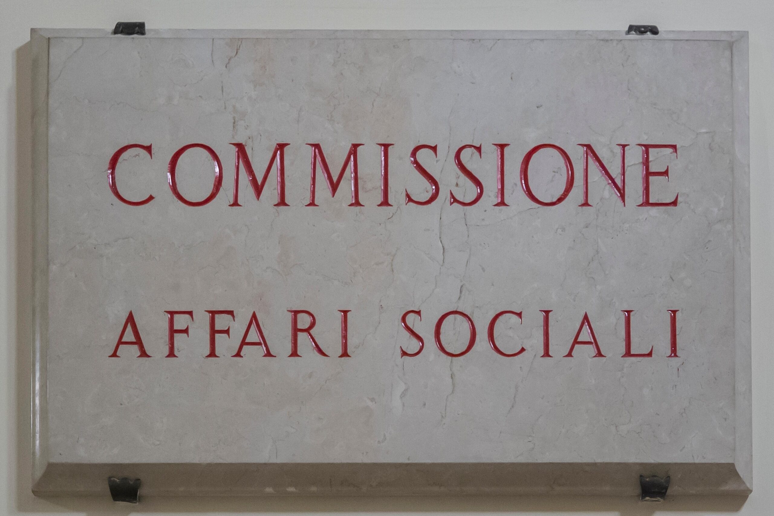 Professioni sanitarie: le proposte del SIVeMP per la veterinaria