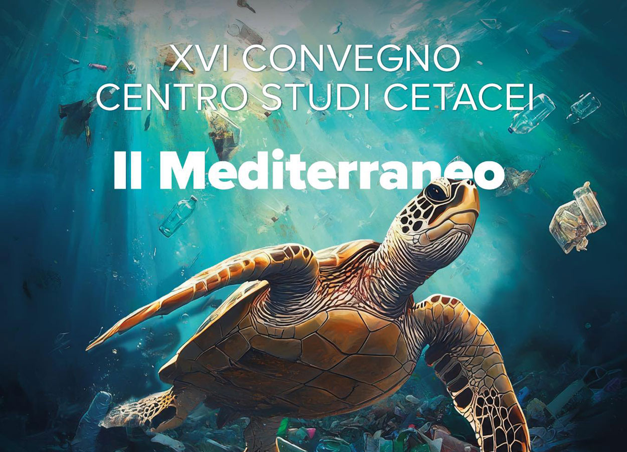 XVI Convegno del Centro Studi Cetacei APS-E.T.S