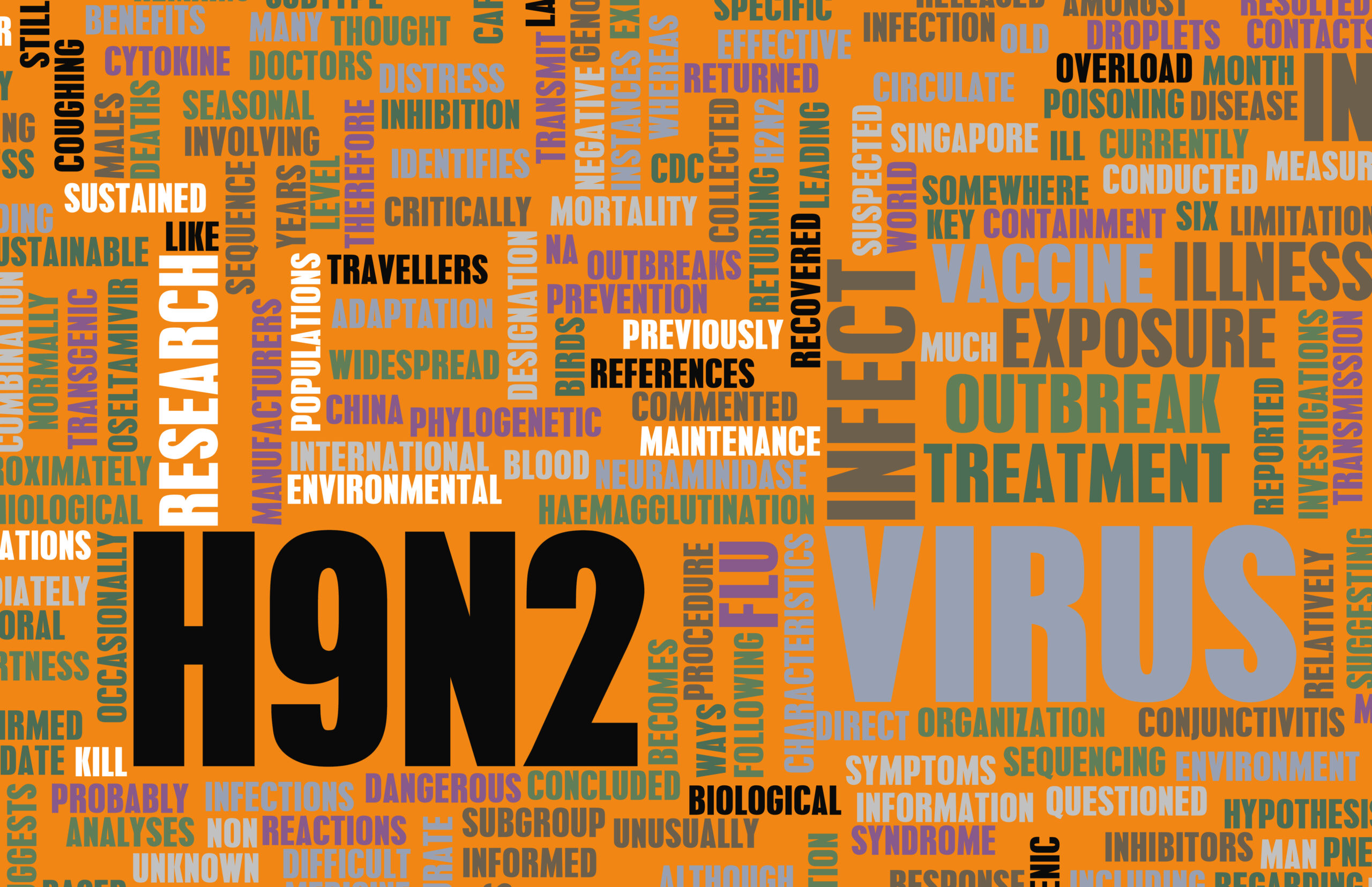 Virus influenzale A (H9N2), identificato caso umano in Lombardia