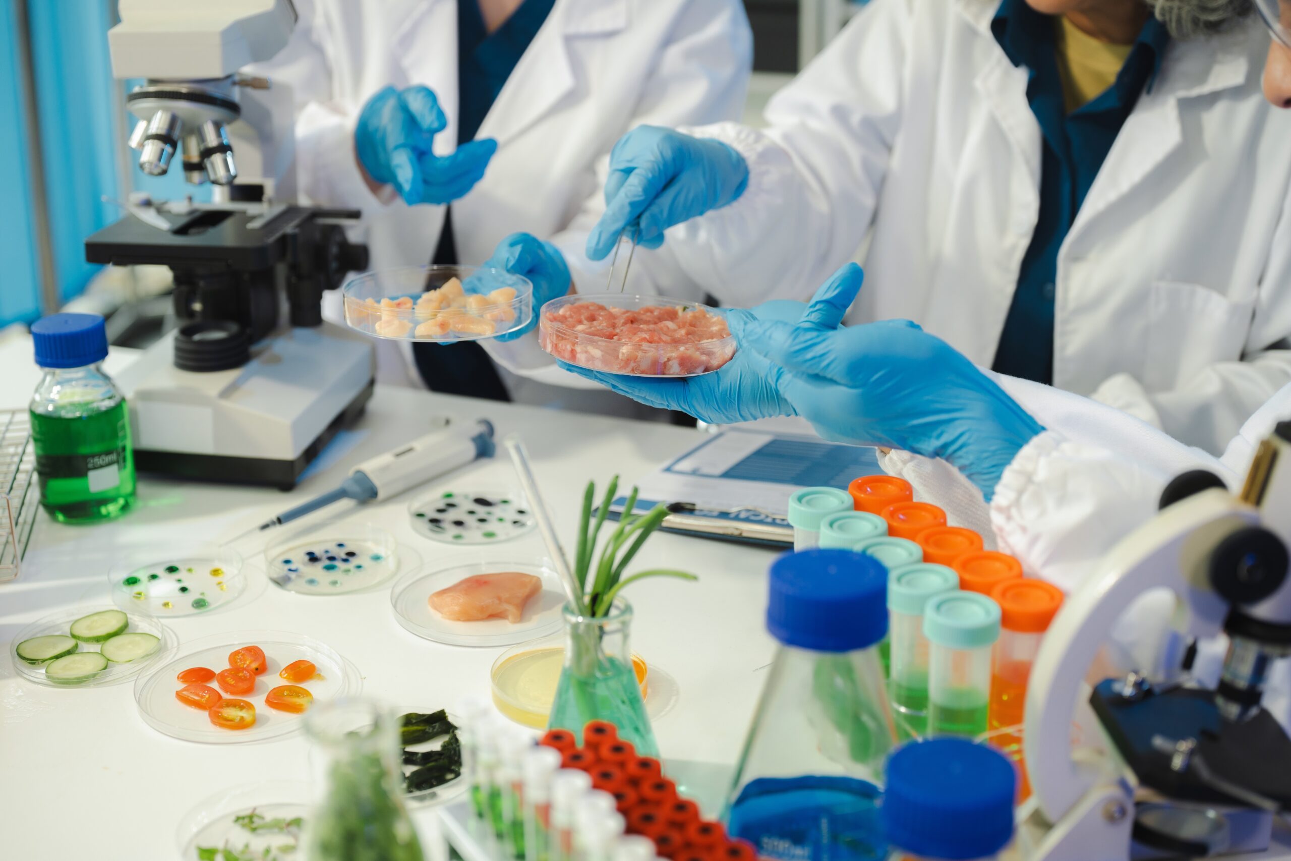 Controlli sui contaminanti ambientali e industriali sugli alimenti, relazione 2024