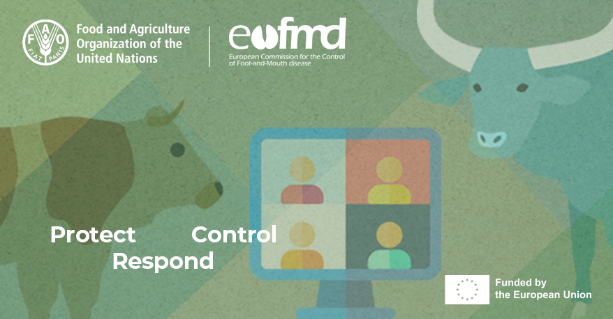 Online il corso gratuito “Introduzione all’afta epizootica”