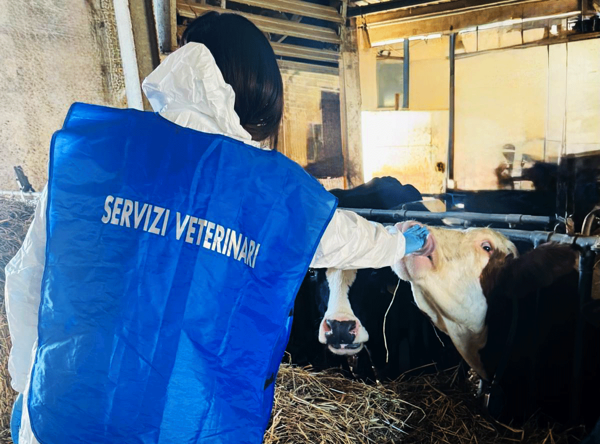 Urgente istituire correttamente le Autorità Competenti Regionali per la sanità pubblica veterinaria