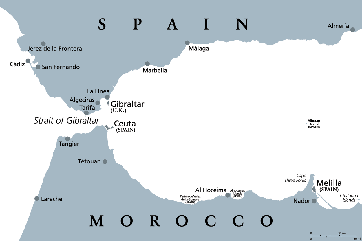 Melilla-Spagna, caso di rabbia in cane proveniente dal Marocco