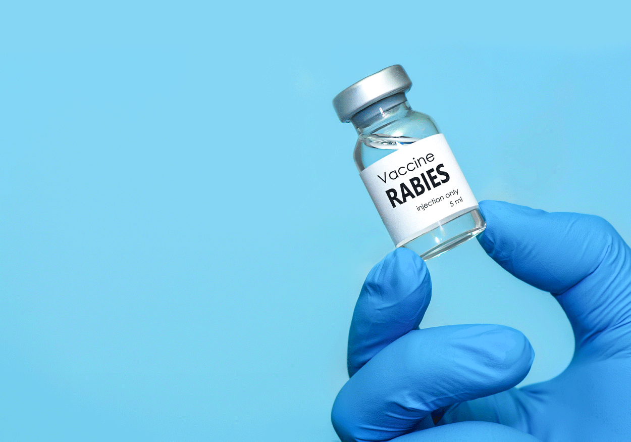 Vaccinazione antirabbica, le indicazioni della ULSS2 Marca Trevigiana